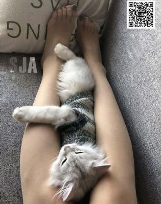最好的国产摄像机_BD国语神马影院在线